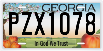 GA license plate PZX1078
