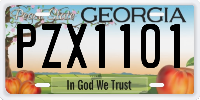 GA license plate PZX1101