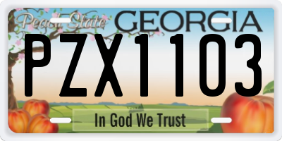 GA license plate PZX1103