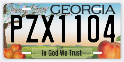 GA license plate PZX1104