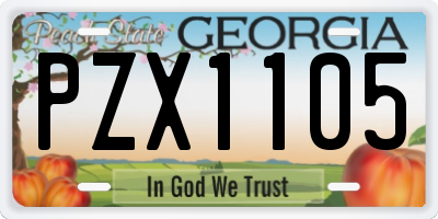 GA license plate PZX1105