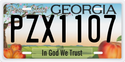 GA license plate PZX1107