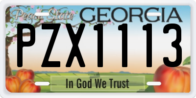 GA license plate PZX1113