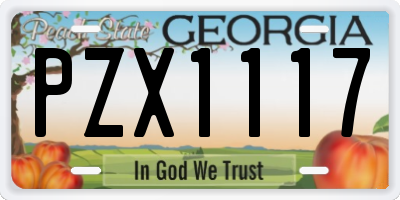 GA license plate PZX1117
