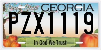 GA license plate PZX1119