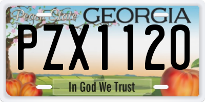 GA license plate PZX1120