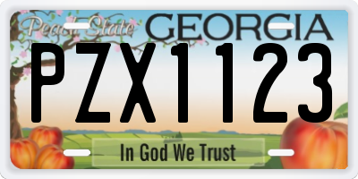 GA license plate PZX1123