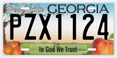 GA license plate PZX1124