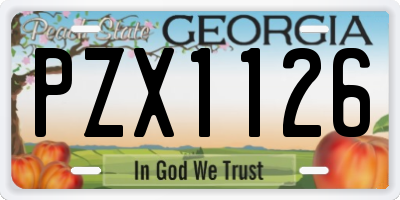 GA license plate PZX1126
