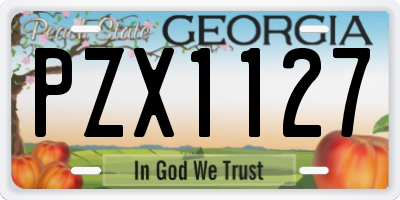 GA license plate PZX1127