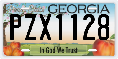 GA license plate PZX1128