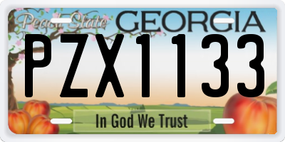 GA license plate PZX1133