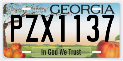 GA license plate PZX1137