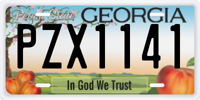 GA license plate PZX1141