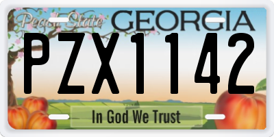 GA license plate PZX1142