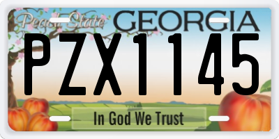 GA license plate PZX1145