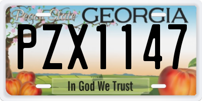 GA license plate PZX1147