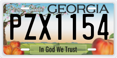 GA license plate PZX1154