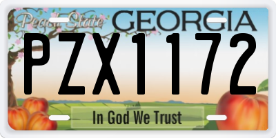 GA license plate PZX1172