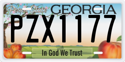 GA license plate PZX1177