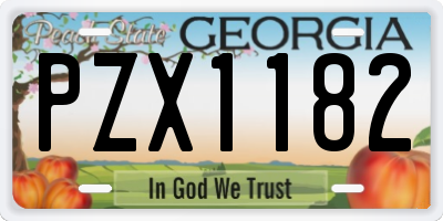 GA license plate PZX1182