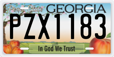 GA license plate PZX1183