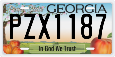 GA license plate PZX1187