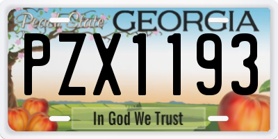 GA license plate PZX1193