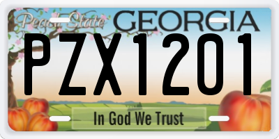 GA license plate PZX1201