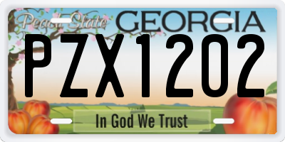 GA license plate PZX1202