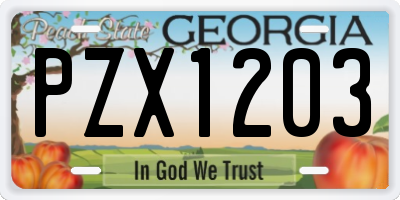 GA license plate PZX1203