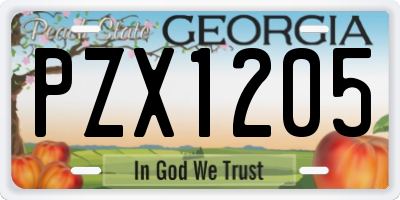 GA license plate PZX1205