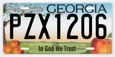 GA license plate PZX1206