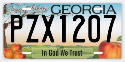GA license plate PZX1207