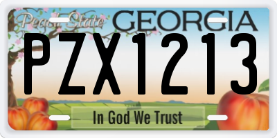 GA license plate PZX1213