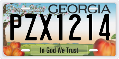 GA license plate PZX1214