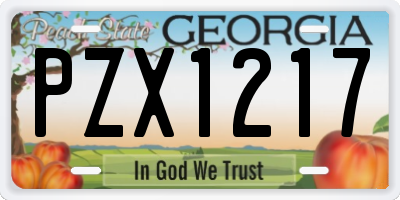 GA license plate PZX1217