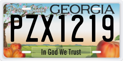 GA license plate PZX1219