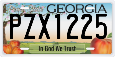 GA license plate PZX1225