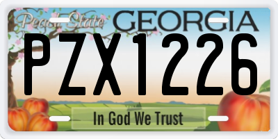 GA license plate PZX1226