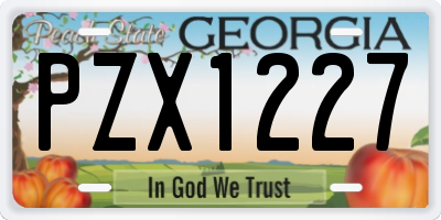 GA license plate PZX1227