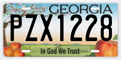 GA license plate PZX1228