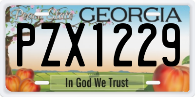 GA license plate PZX1229