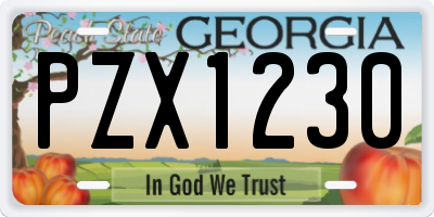GA license plate PZX1230