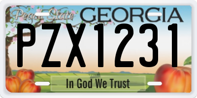 GA license plate PZX1231