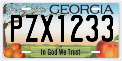 GA license plate PZX1233