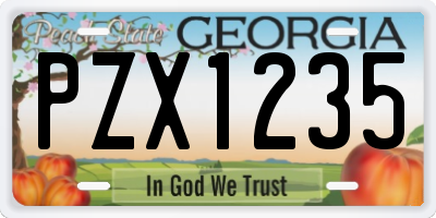 GA license plate PZX1235