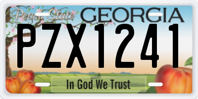 GA license plate PZX1241