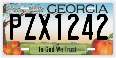 GA license plate PZX1242