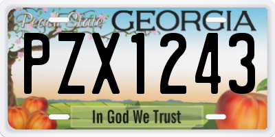 GA license plate PZX1243